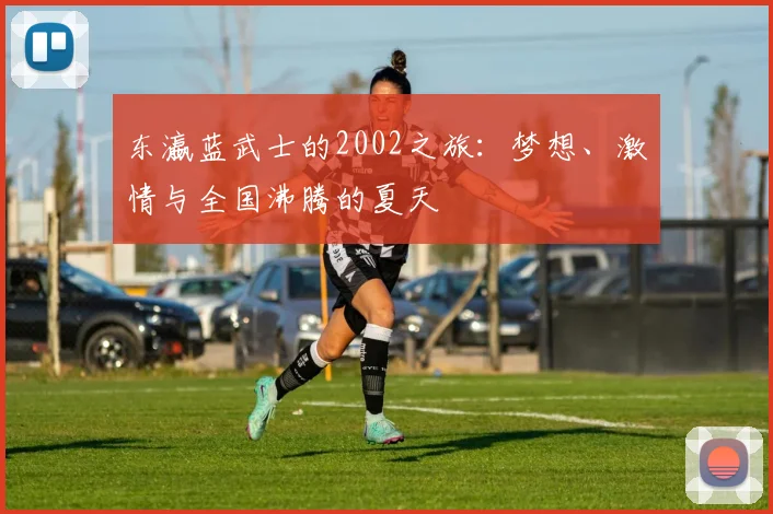 东瀛蓝武士的2002之旅:梦想、激情与全国沸腾的夏天