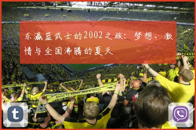 东瀛蓝武士的2002之旅:梦想、激情与全国沸腾的夏天