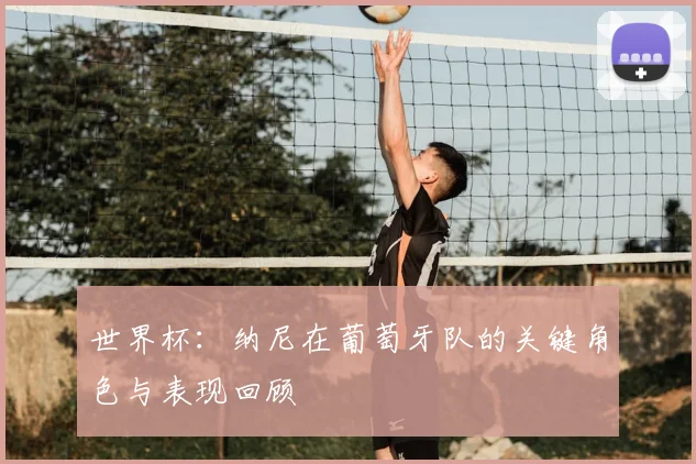 世界杯:纳尼在葡萄牙队的关键角色与表现回顾