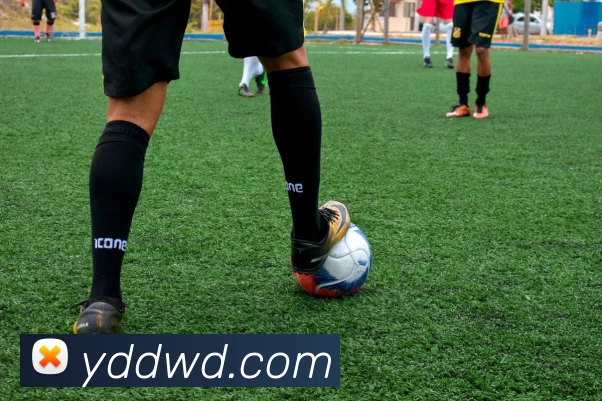 多媒体互动体验